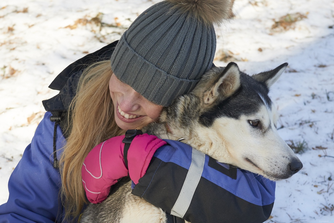 Sorbyn Lodge Huskies